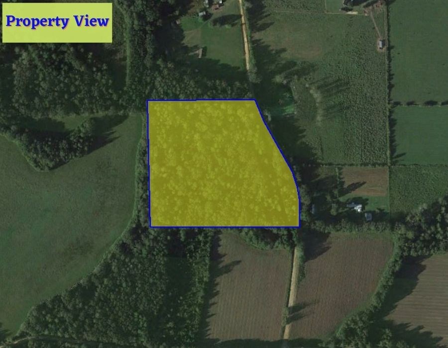 0 Old Gilmore School House Road Summers, AL 72769 - Photo 3 of 13