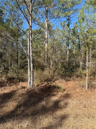 $17,500 | 69 Heritage Circle, Hortense, GA 31543