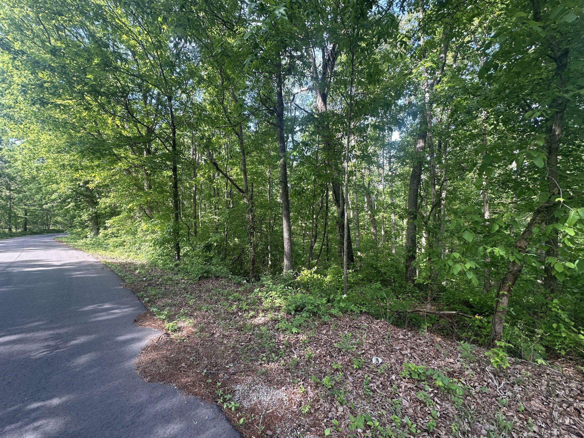 0 Oak Hill Road Lyles, TN 37098 - Photo 2 of 6 Gallery Image 2