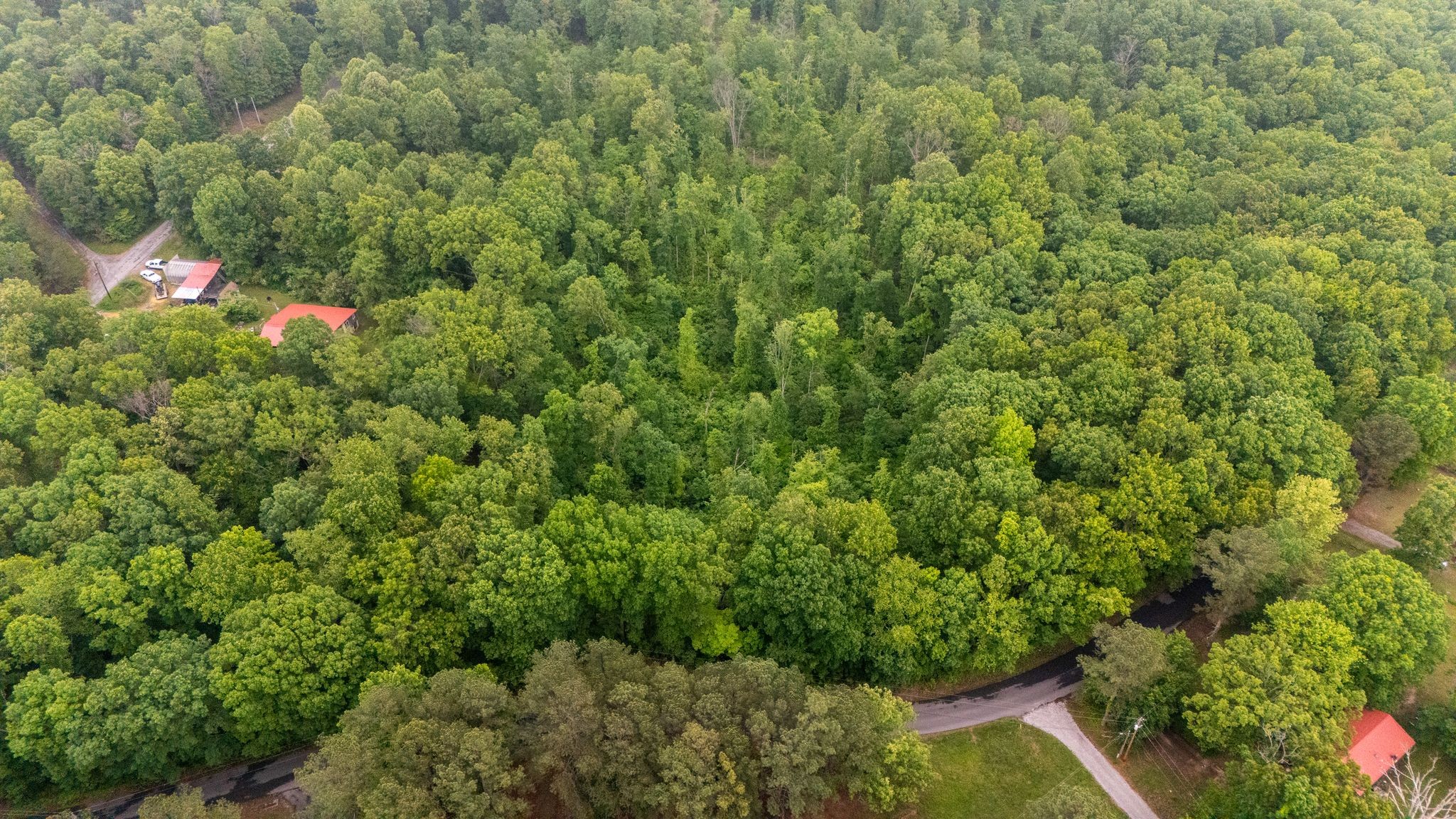 0 Oak Hill Road Lyles, TN 37098 - Photo 5 of 6 Gallery Image 5