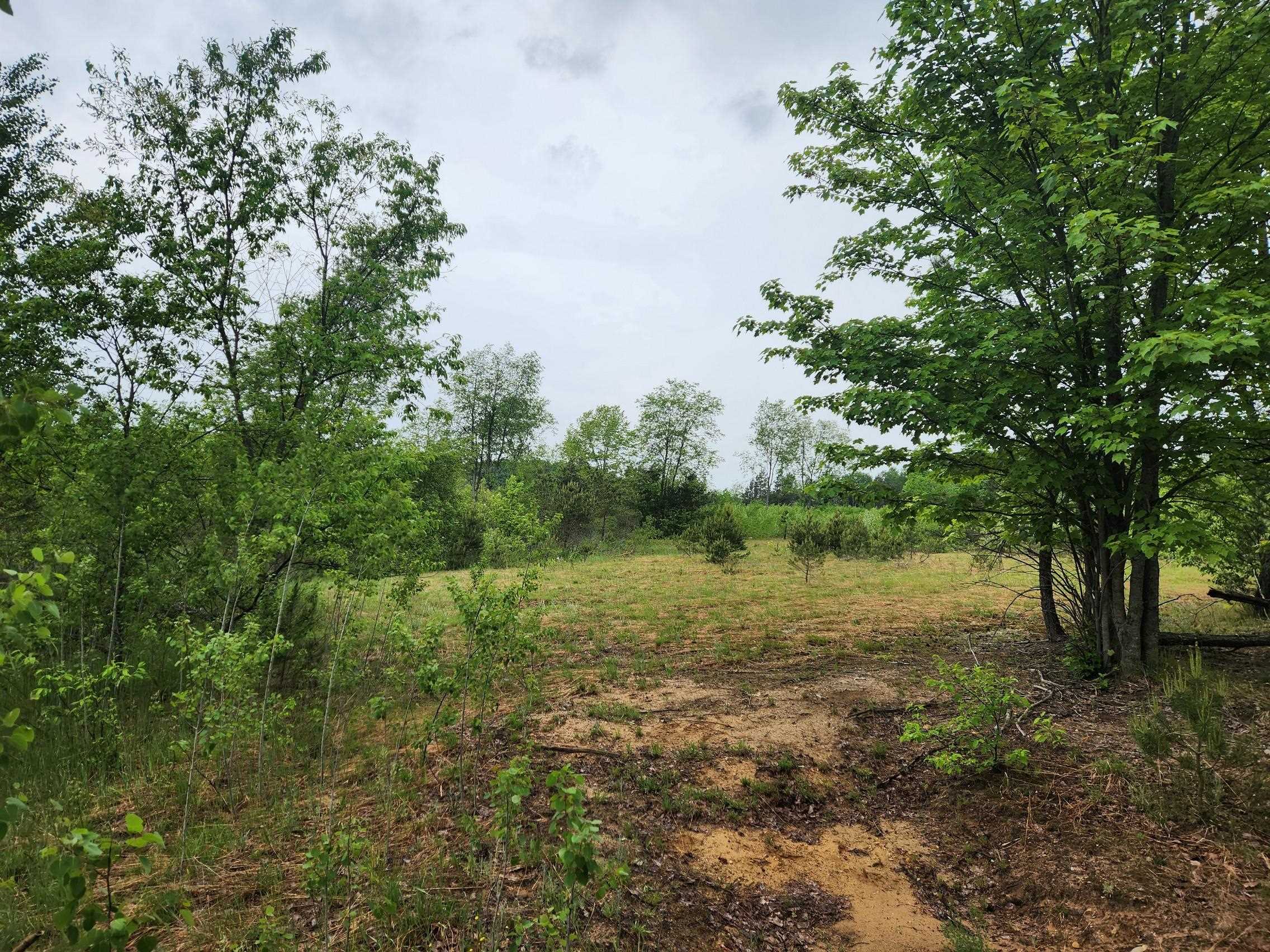 5948 Kniss Road Southeast Kalkaska, MI 49646 - Photo 14 of 37