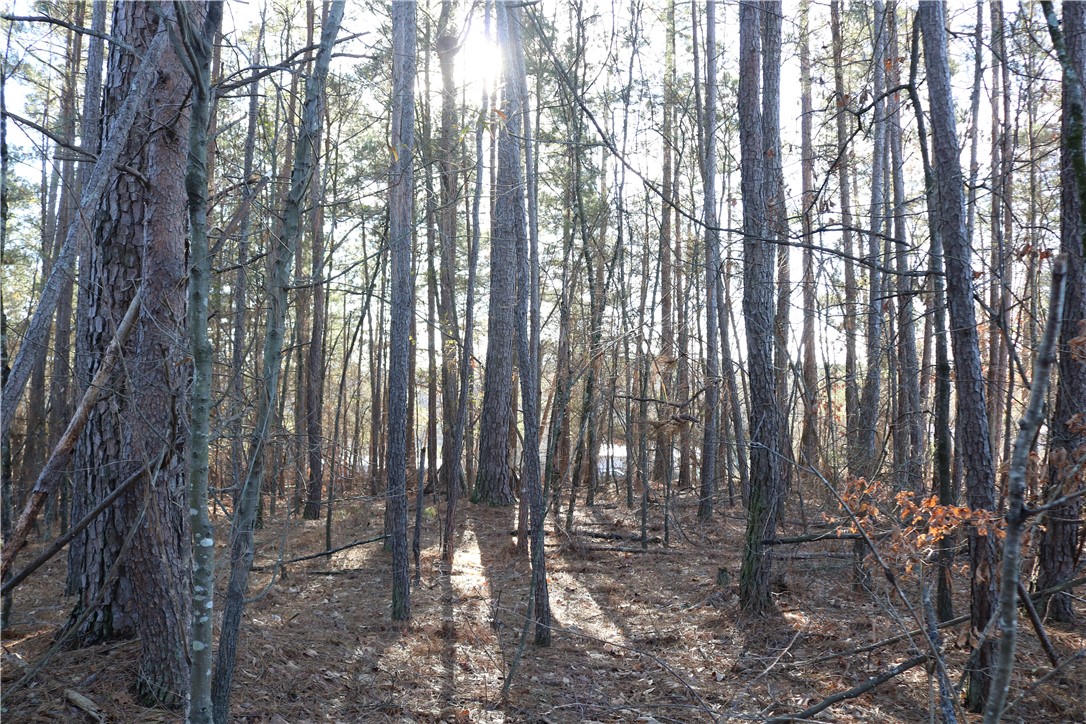 0 Pearman Dairy Road Anderson, SC 29625 - Photo 4 of 9