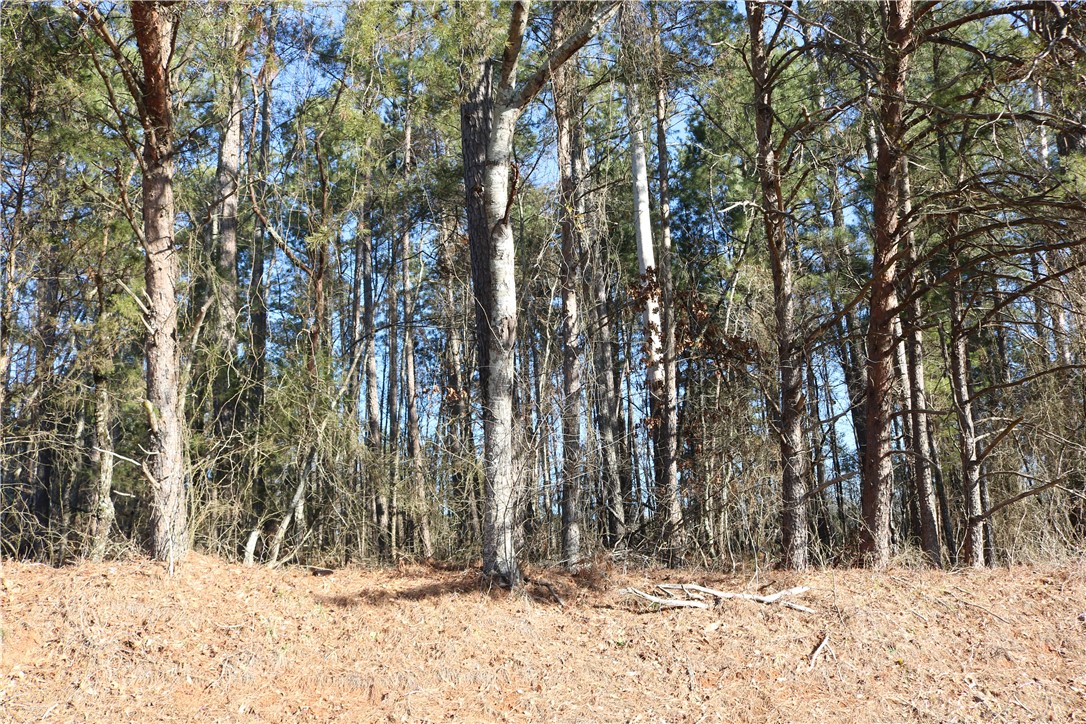 0 Pearman Dairy Road Anderson, SC 29625 - Photo 5 of 9