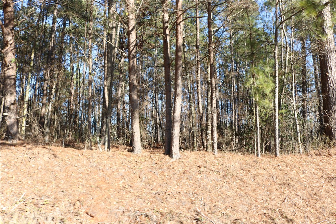 0 Pearman Dairy Road Anderson, SC 29625 - Photo 6 of 9