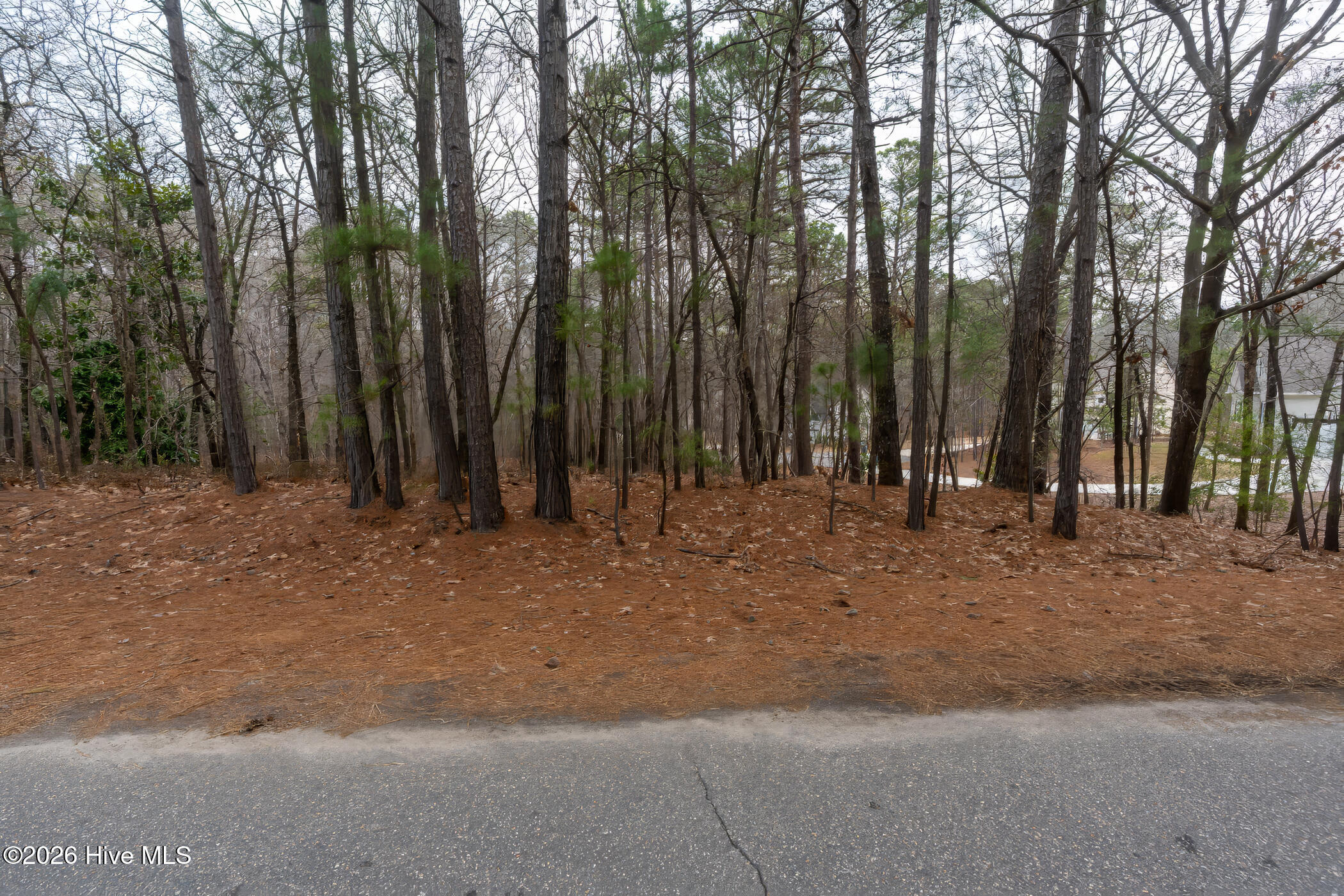 102 Ramsgate Court Seven Lakes, NC 27376 - Photo 5 of 11 A7404174-1A 2