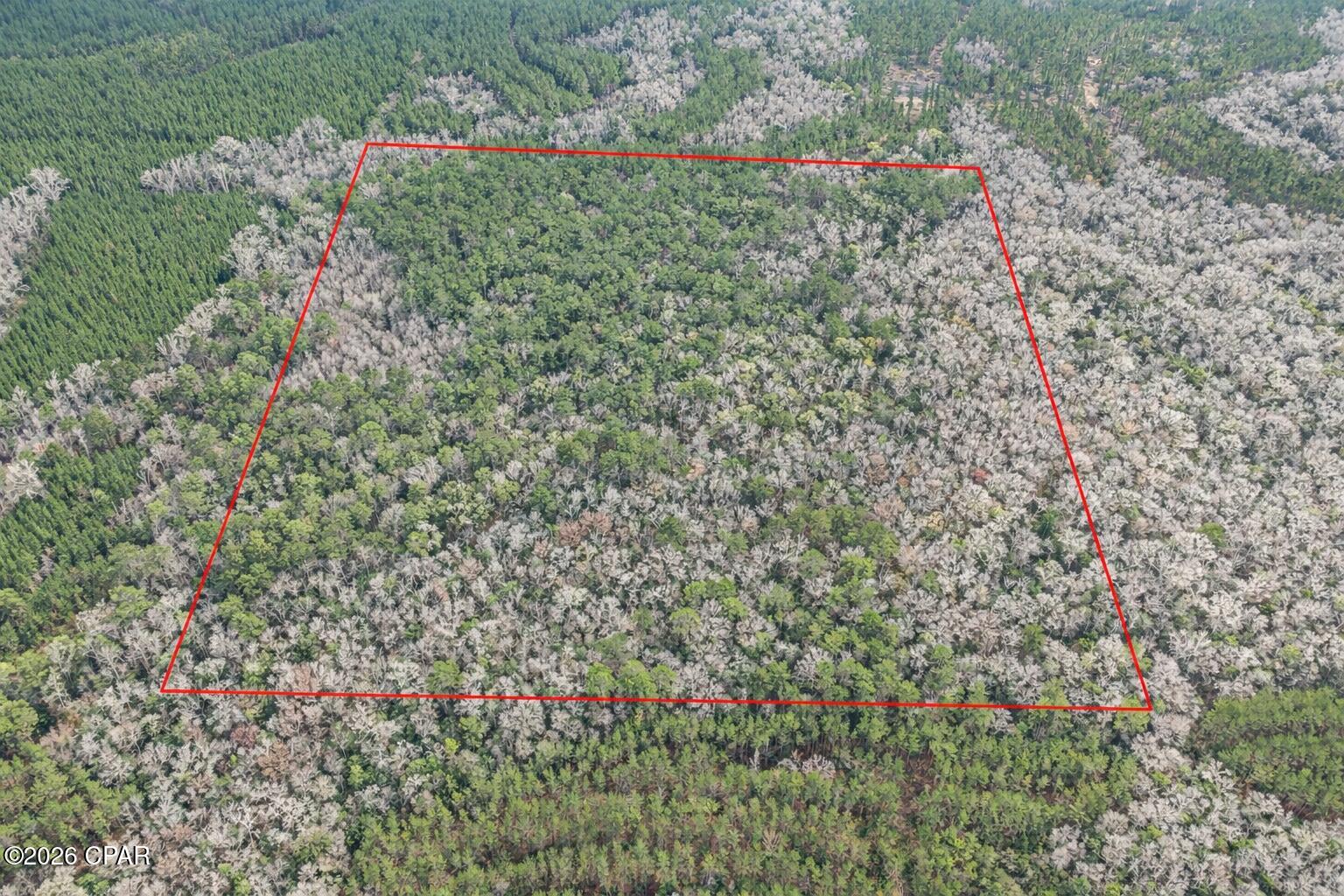 0 Clemmons Road Bonifay, FL 32425 - Photo 5 of 5