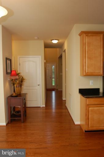 Interior (General)