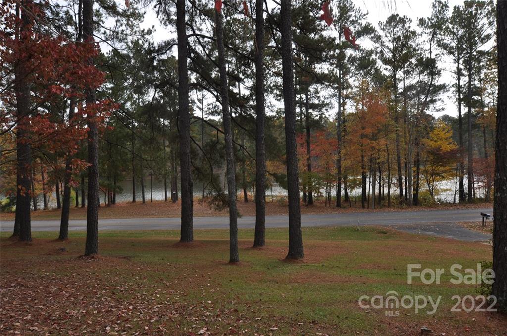 648 Pineview Lakes Road Chester, SC 29706 - Photo 27 of 28 Gallery Image 27