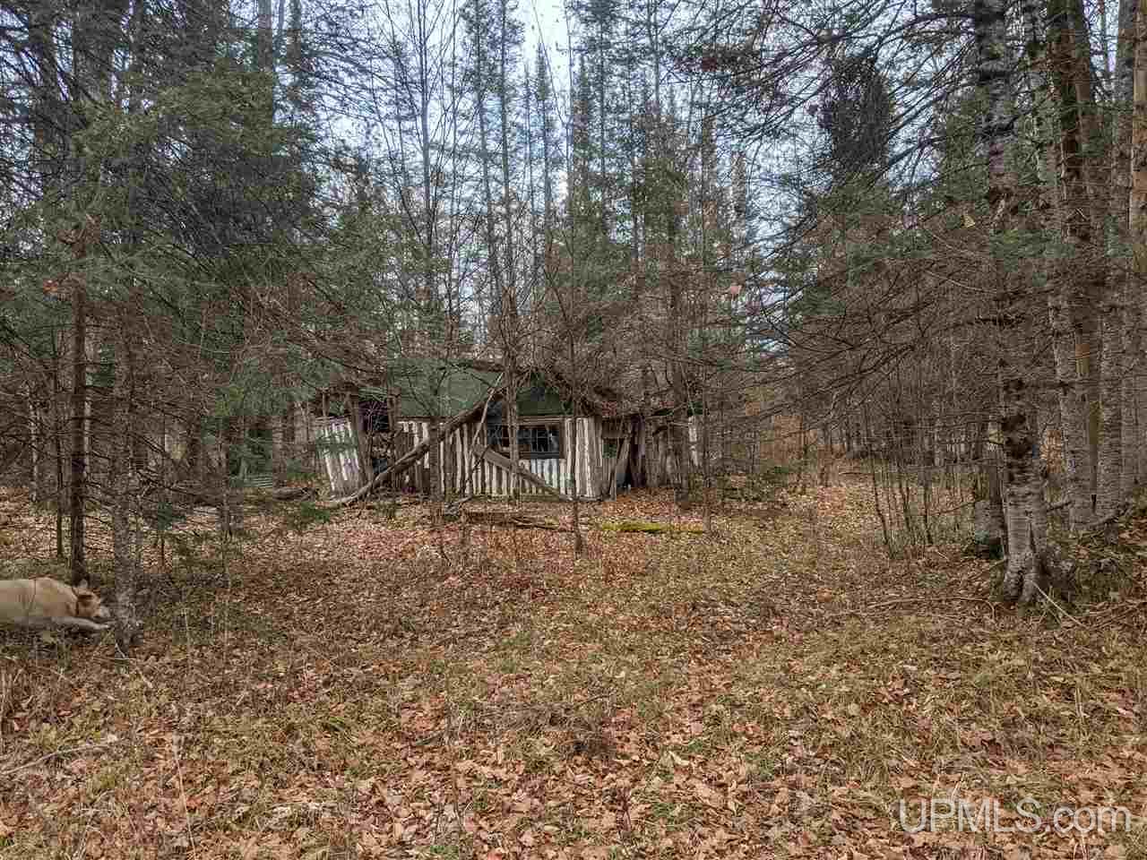 Tbd Tbd Unnamed Road Cornell, MI 49818 - Photo 9 of 10