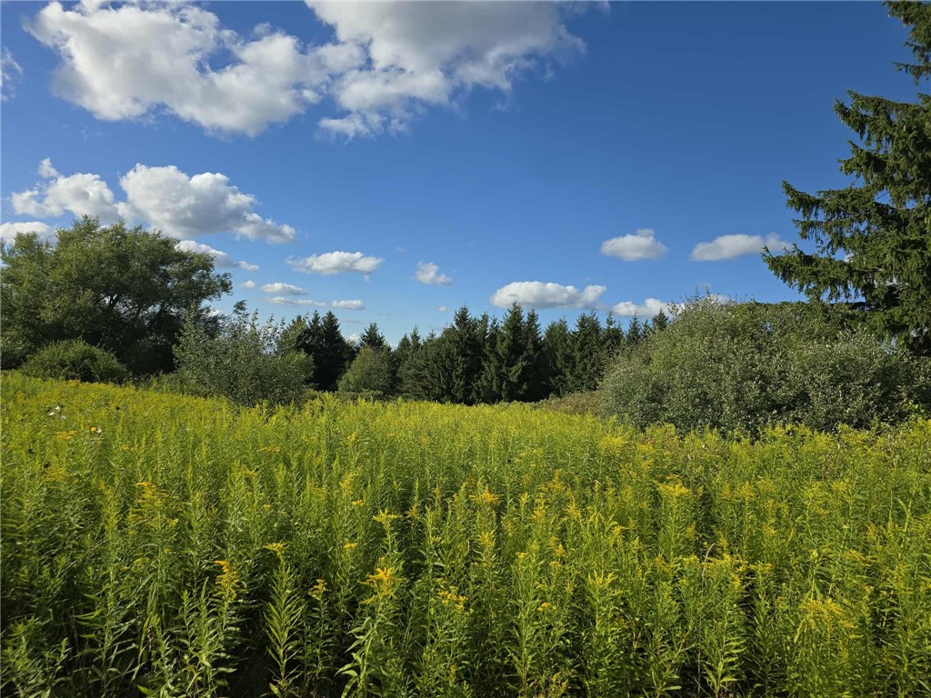 0 Call Hill Road Canisteo, NY 14823 - Photo 1 of 5