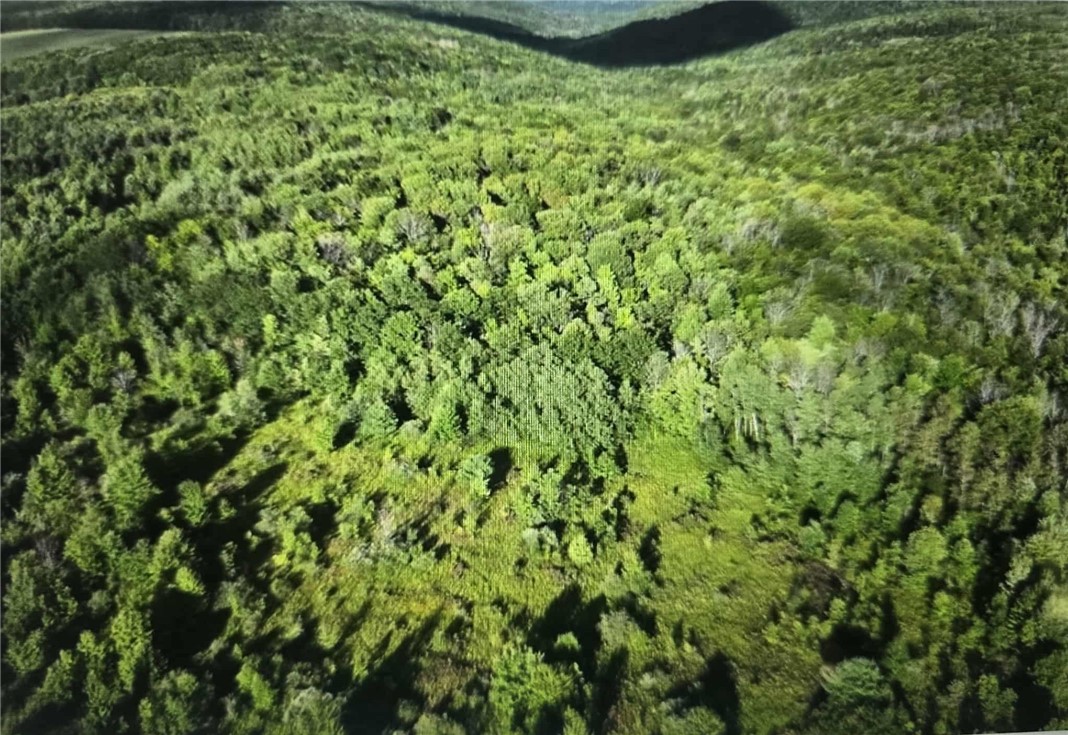 0 Call Hill Road Canisteo, NY 14823 - Photo 2 of 5