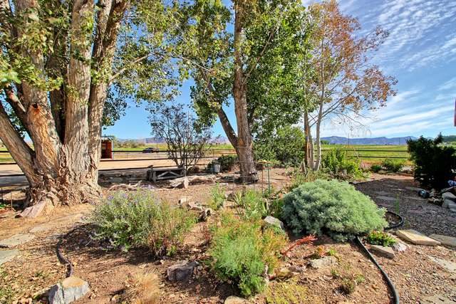 2135 M Road Grand Junction, CO 81505 - Photo 11 of 42 a view of backyard with outdoor space