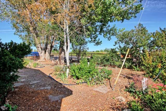 2135 M Road Grand Junction, CO 81505 - Photo 12 of 42 a view of yard