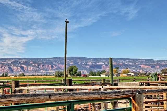 2135 M Road Grand Junction, CO 81505 - Photo 24 of 42 a view of a city with an ocean view