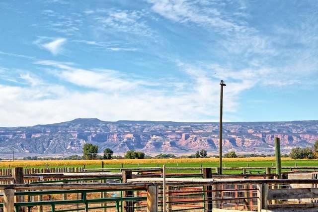 2135 M Road Grand Junction, CO 81505 - Photo 25 of 42 a view of a city with an ocean