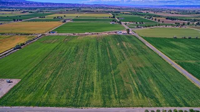 2135 M Road Grand Junction, CO 81505 - Photo 3 of 42 a view of a golf course with a park