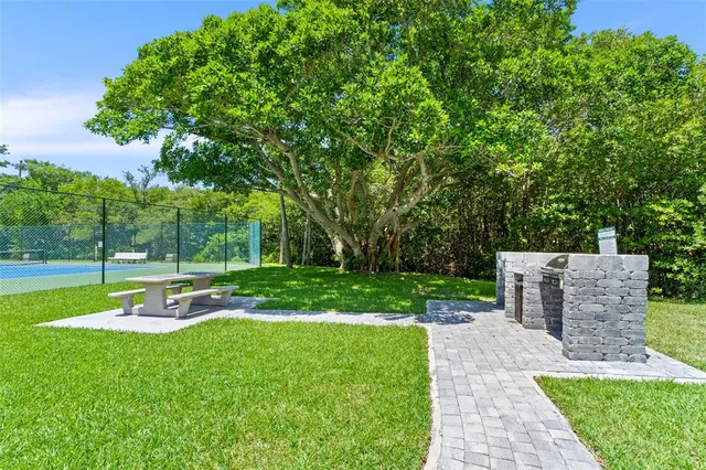 a view of a backyard with lawn chairs plants and palm trees