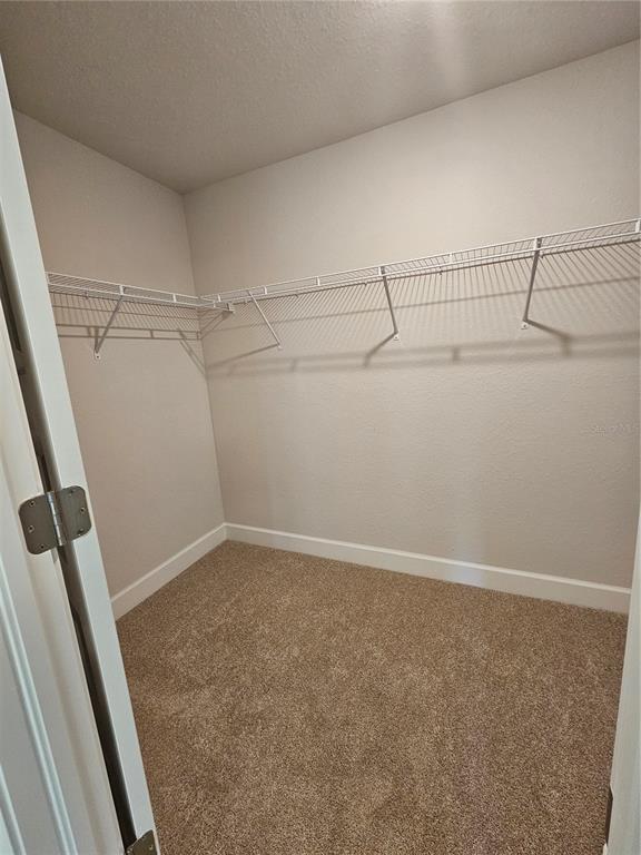 804 Polaris Road Venice, FL 34293 - Photo 7 of 10