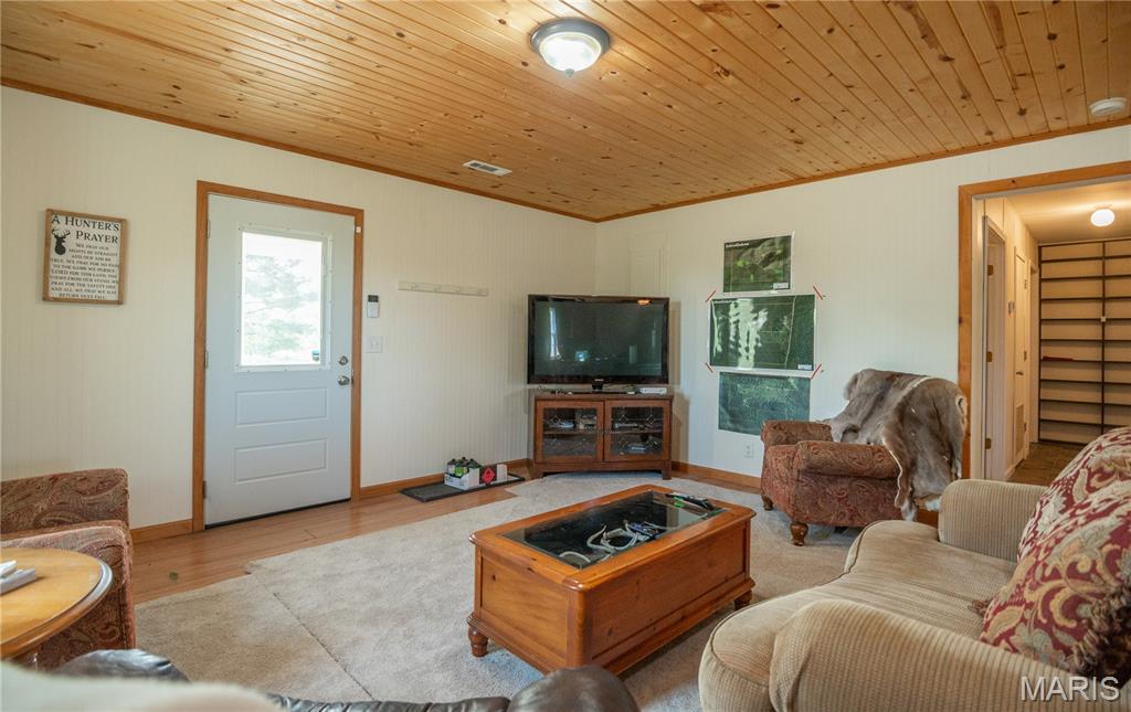 1743 Ripley Route North Doniphan, MO 63935 - Photo 68 of 97
