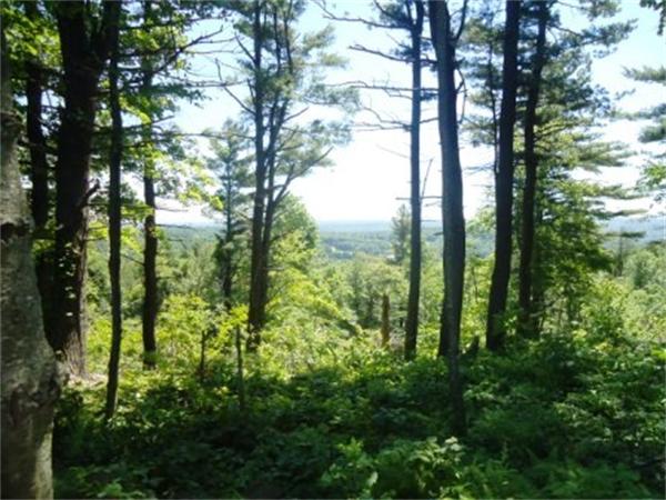 Lot 7 Ridge Road Hardwick, MA 01037 - Photo 13 of 20
