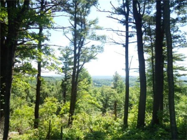 Lot 7 Ridge Road Hardwick, MA 01037 - Photo 14 of 20