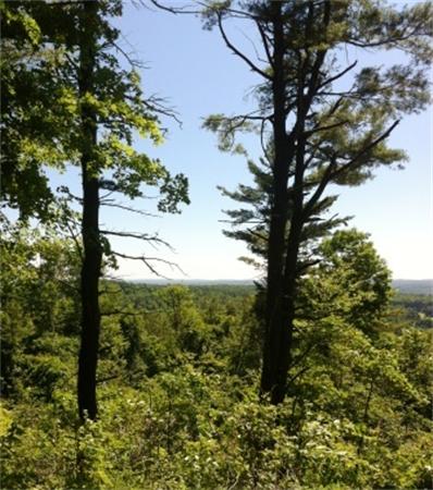 Lot 7 Ridge Road Hardwick, MA 01037 - Photo 20 of 20