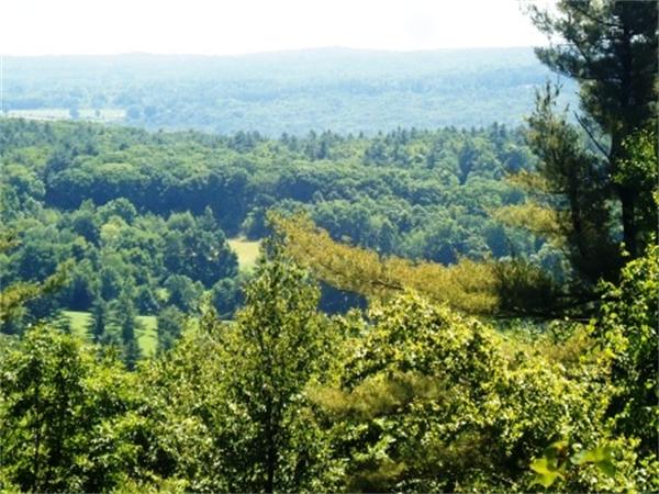 Lot 7 Ridge Road Hardwick, MA 01037 - Photo 3 of 20