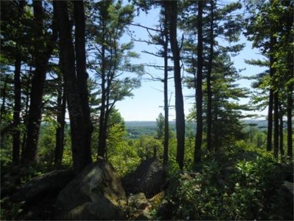 Lot 7 Ridge Road Hardwick, MA 01037 - Photo 5 of 20