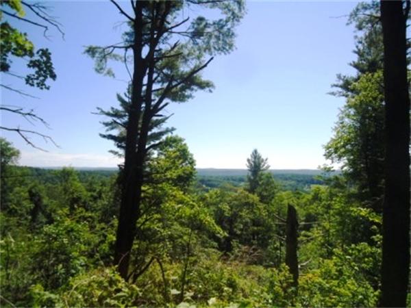 Lot 7 Ridge Road Hardwick, MA 01037 - Photo 7 of 20