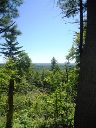 Lot 7 Ridge Road Hardwick, MA 01037 - Photo 8 of 20