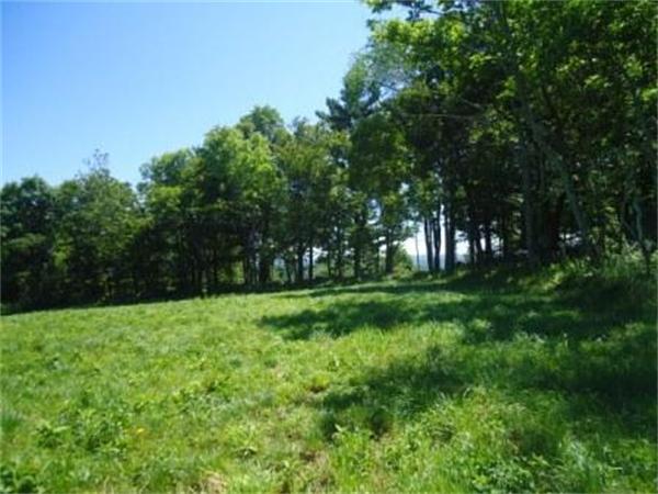 Lot 7 Ridge Road Hardwick, MA 01037 - Photo 9 of 20