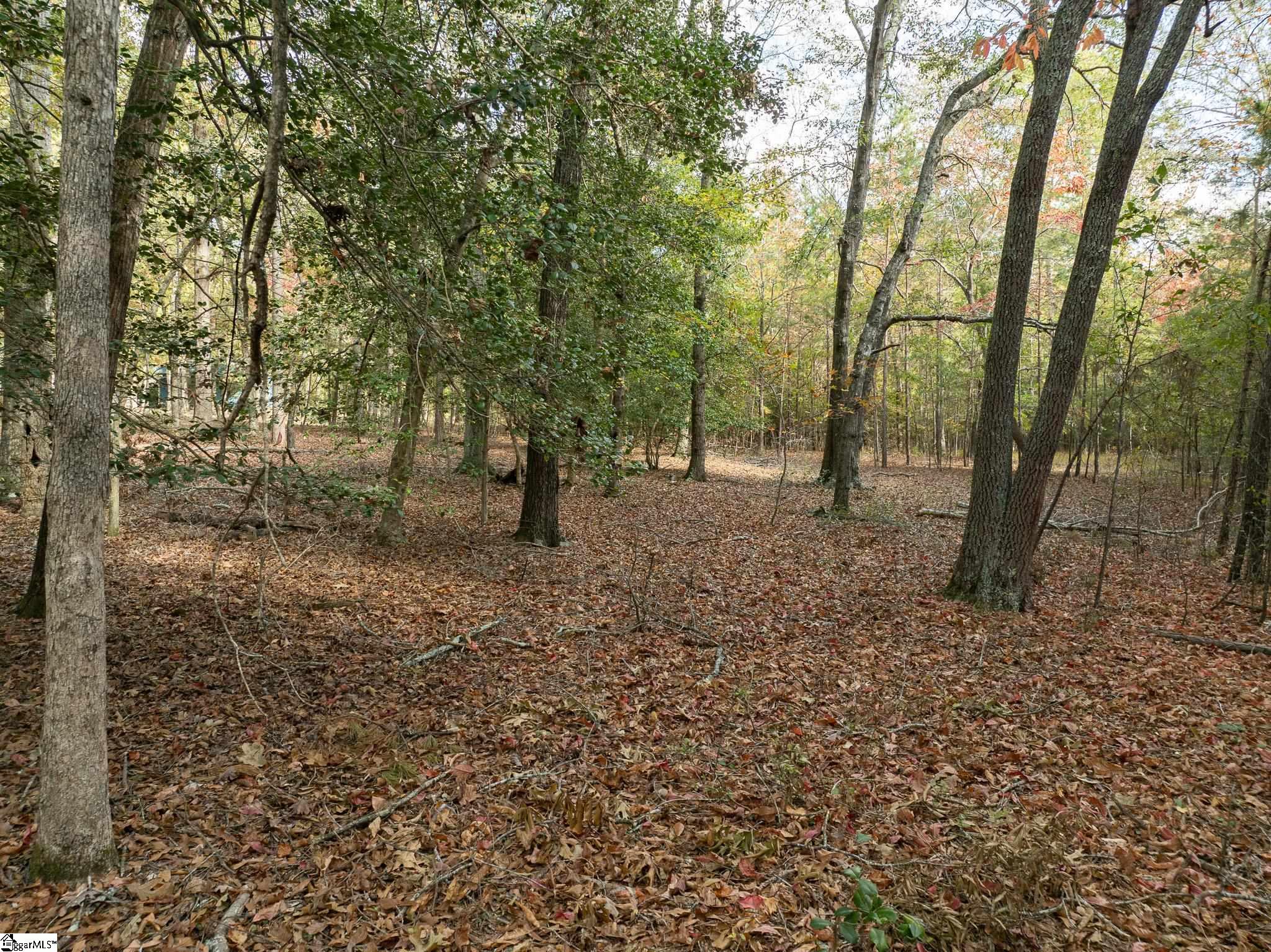 40 Hippy Lane Pelzer, SC 29669 - Photo 45 of 47 Gallery Image 45