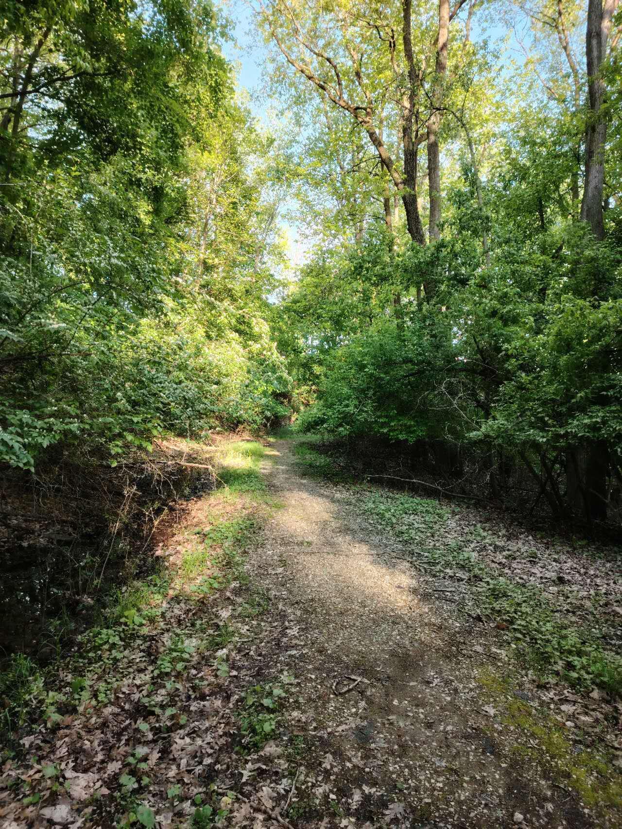 210 Whitney Drive Rochester Hills, MI 48307 - Photo 40 of 45 Walking Trail