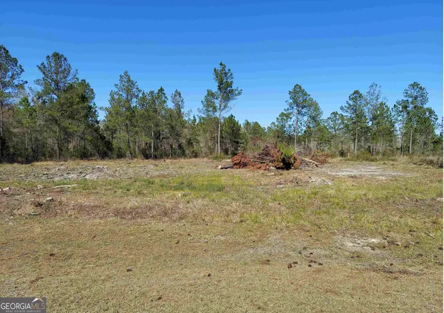 $29,900 | 1296 Janells River Drive, Folkston, GA 31537