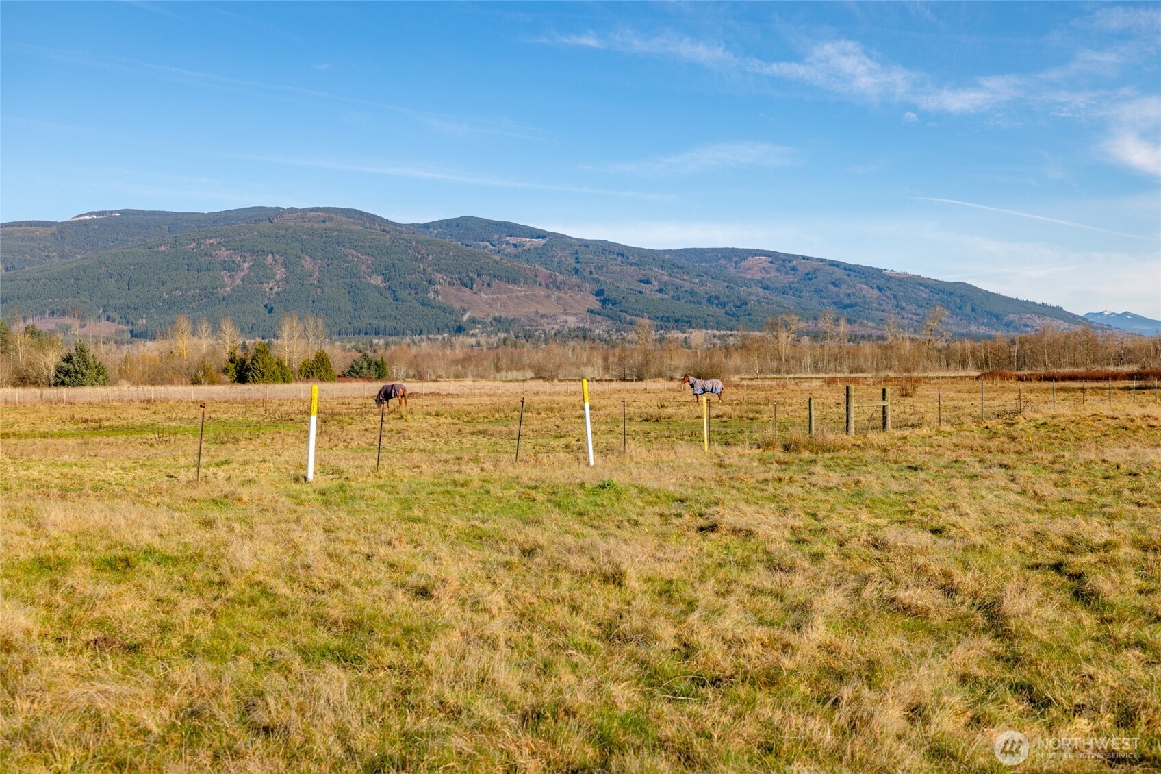 965 North Fruitdale Road Sedro-Woolley, WA 98284 - Photo 35 of 37