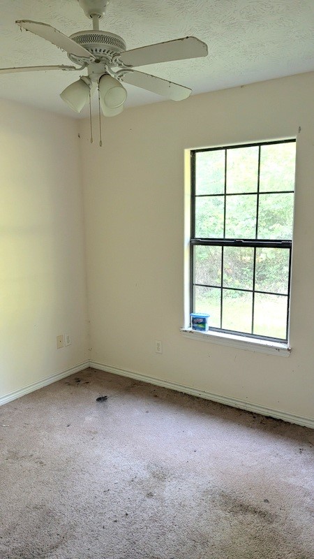 150 East 3rd Street Groveton, TX 75845 - Photo 11 of 22