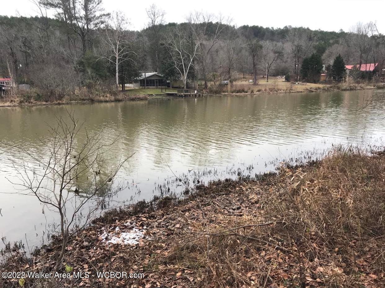 Quail Road Parrish, AL 35580 - Photo 2 of 31 Gallery Image 2