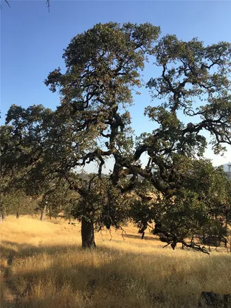 $585,000 | 21378 Jerusalem Grde, Lower Lake, CA 95457