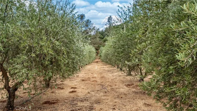 $635,000 | 21378 Jerusalem Grde, Lower Lake, CA 95457