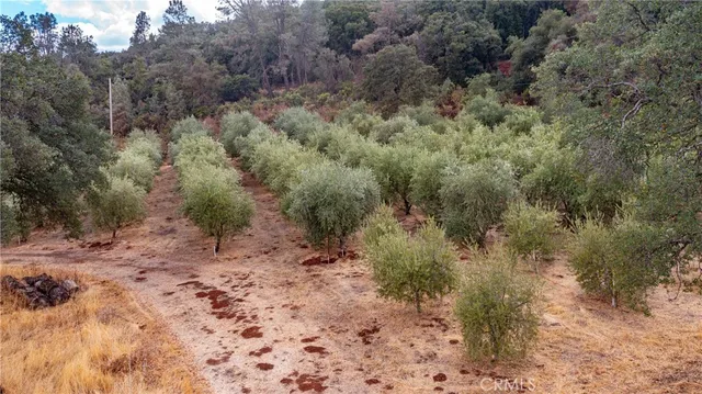 $635,000 | 21378 Jerusalem Grde, Lower Lake, CA 95457