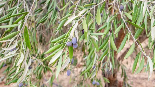 $635,000 | 21378 Jerusalem Grde, Lower Lake, CA 95457