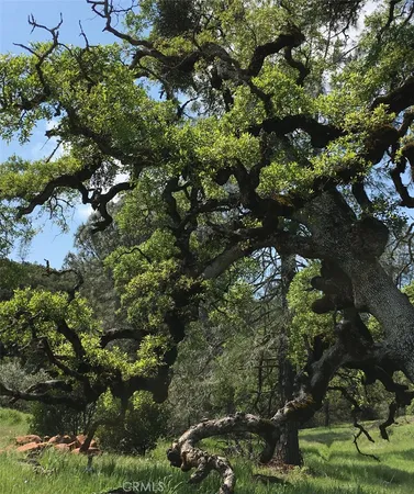 $585,000 | 21378 Jerusalem Grde, Lower Lake, CA 95457