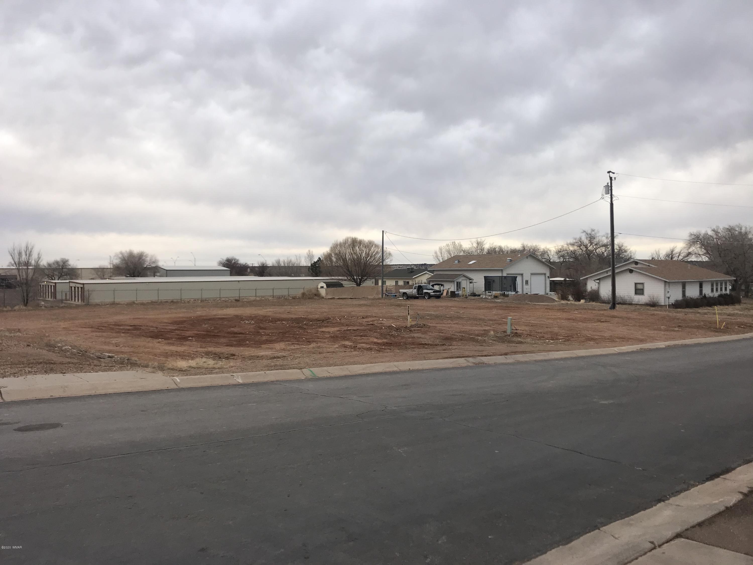 46 East 9th S Street Snowflake, AZ 85937 - Photo 4 of 11