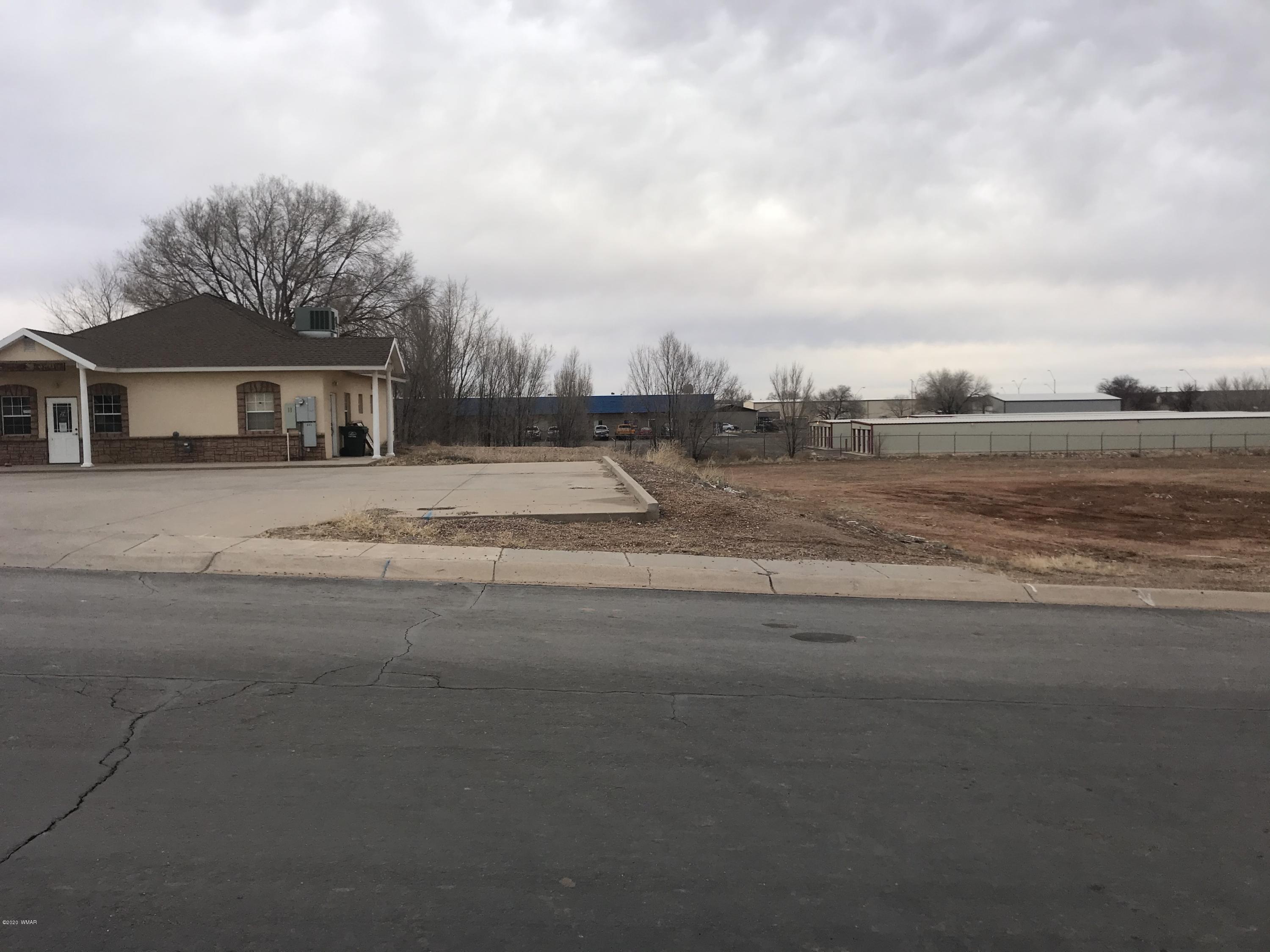 46 East 9th S Street Snowflake, AZ 85937 - Photo 5 of 11 a view of ocean with a big yard