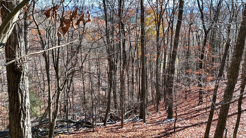 Tbd Nebo Mountain Road, Unit MULTIPLE Marion, VA 24354 - Photo 5 of 9 Gallery Image 5