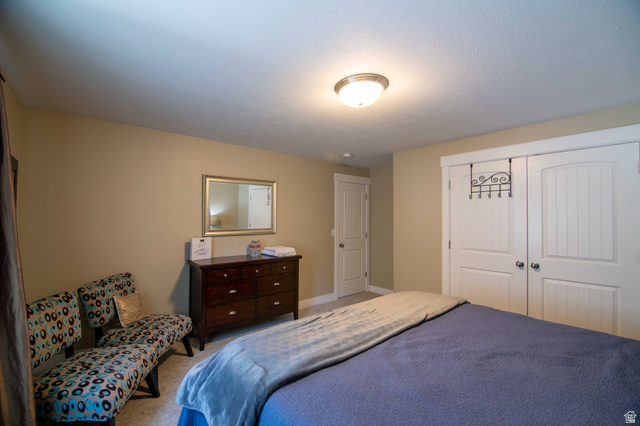 646 East 1400th Street North Mapleton, UT 84664 - Photo 39 of 78 Carpeted room featuring a ceiling-mounted light fixture and neutral wall paint