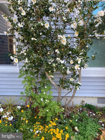 $550,000 | 6394 Bozman Neavitt Road, Neavitt, MD 21652