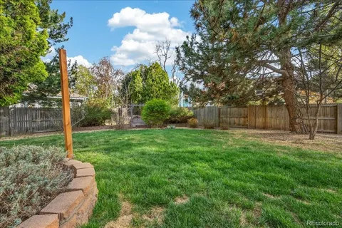 a view of a park with a large tree