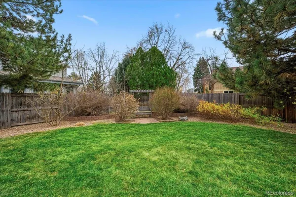 a view of a backyard with large trees