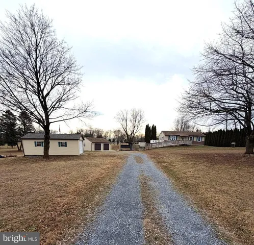 a view of large trees with outdoor space